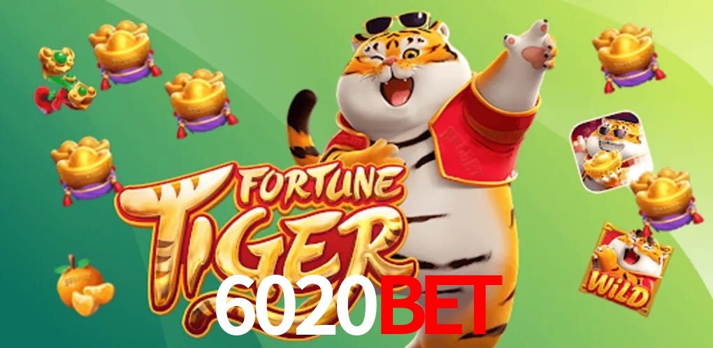 Statistics 6020bet